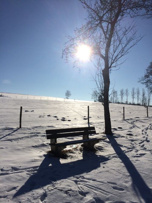 winter rest landscape