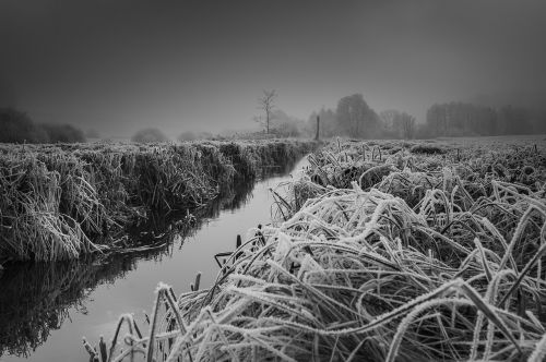 winter frost wintry