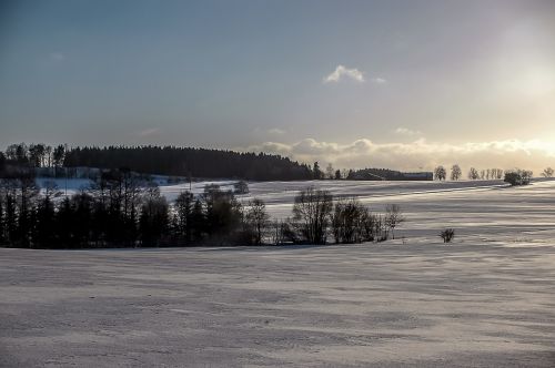 winter snow evening sun