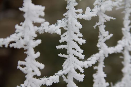 winter snow icing