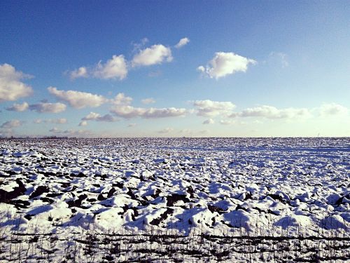 winter field snow