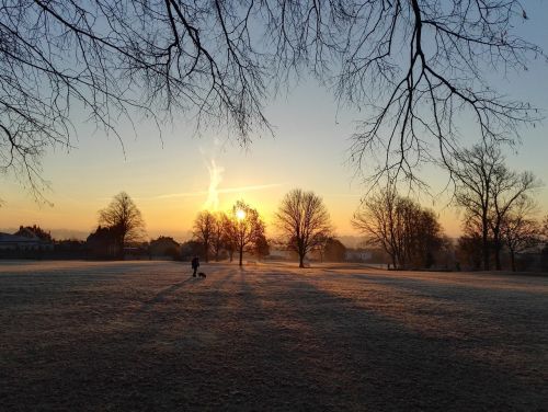 winter frost christmas