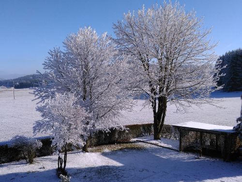 winter hoarfrost wintry