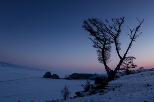 winter night snow