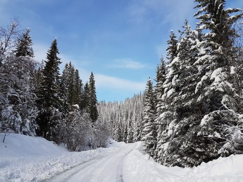 winter landscape winter landscapes