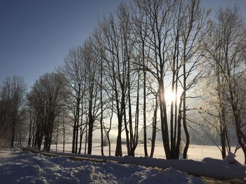 winter snow wintry