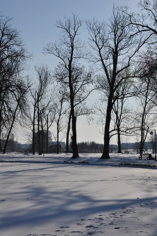 winter snow landscape