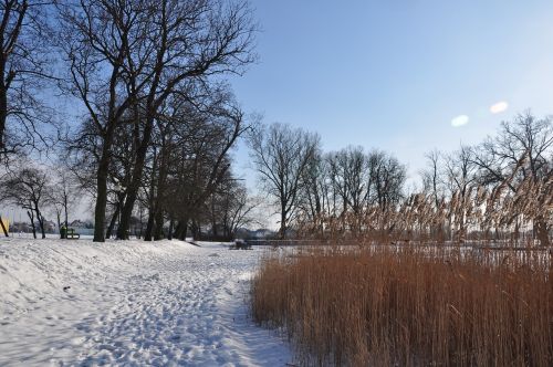 winter snow landscape