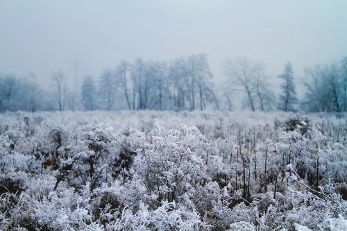 winter snow ice