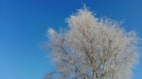 winter sky snow