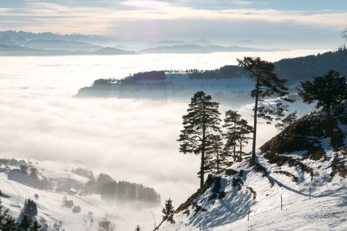 winter landscape mountains