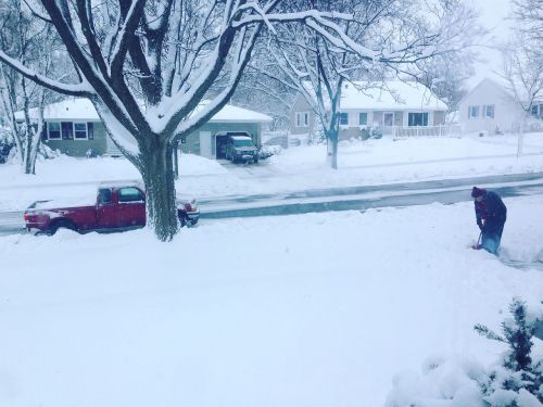 winter snow snowy neighborhood