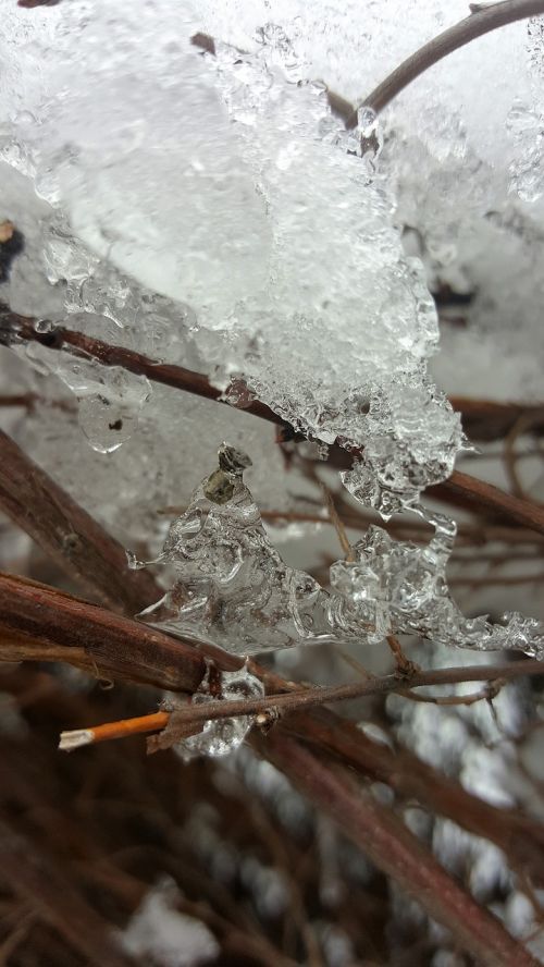 winter ice form white