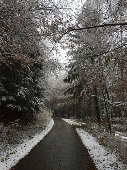 winter snow wintry