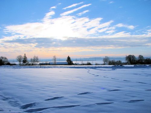 winter snow landscape