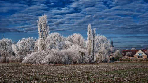 winter frost ripe