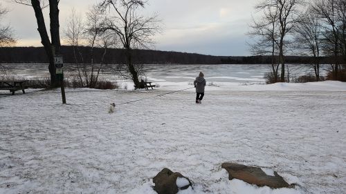 winter lake dog