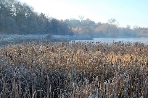 winter lake frost