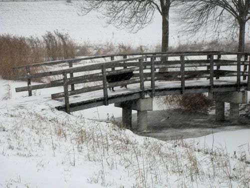 winter bridge nature