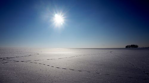 winter snow tracks