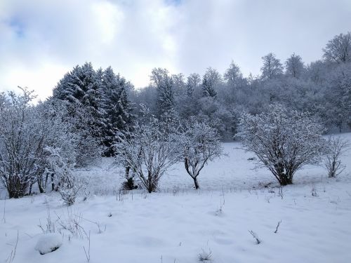 winter landscape nature