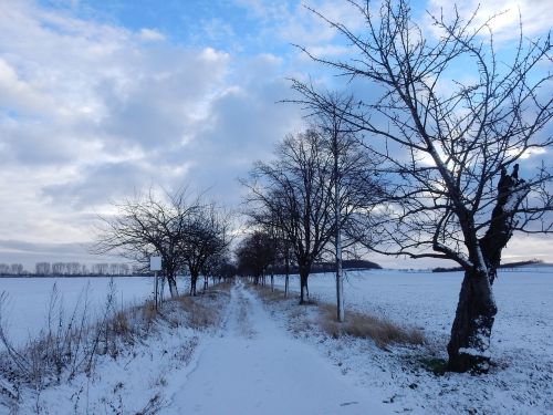 winter snow blue sky