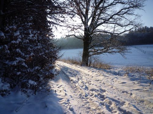 winter sunrise snow