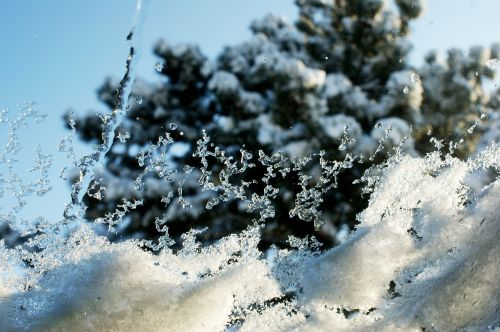 winter frost frozen