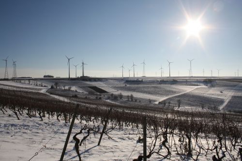winter vineyards windräder
