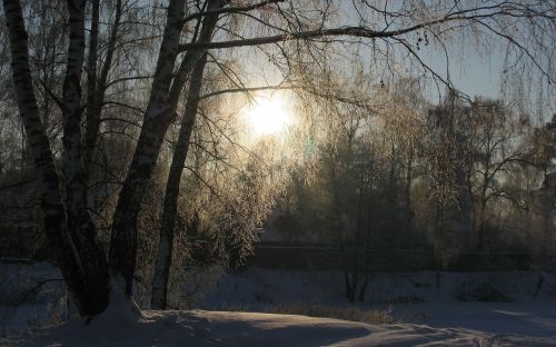 winter snow sun