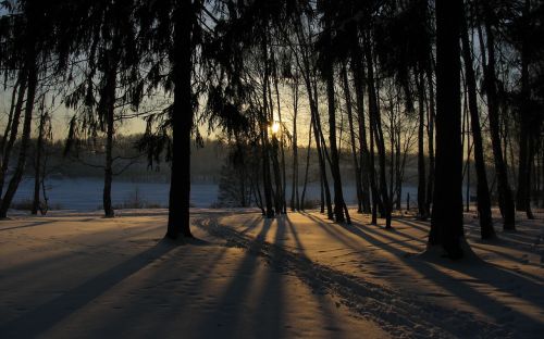 winter snow sun