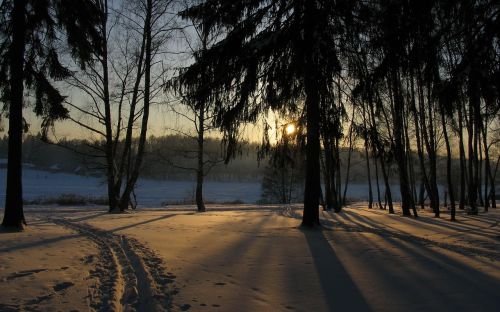 winter snow sun