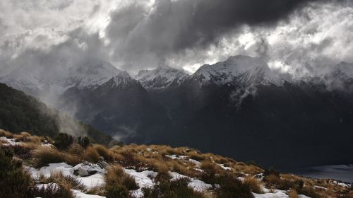 winter snow grass