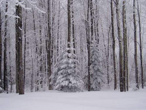 winter maine snow