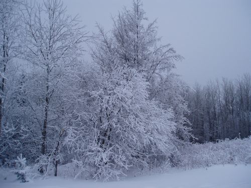 winter maine snow