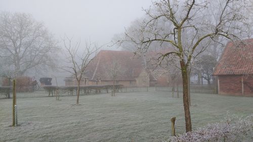 winter dew landscape