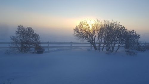 winter fog sun snow