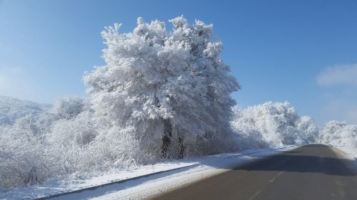 winter road winter road