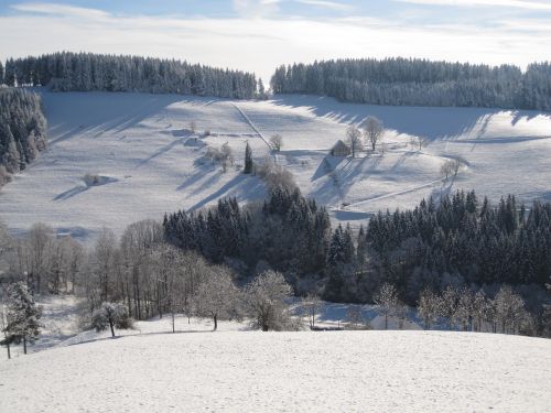 winter snow landscape snow