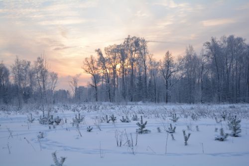 winter nature landscape