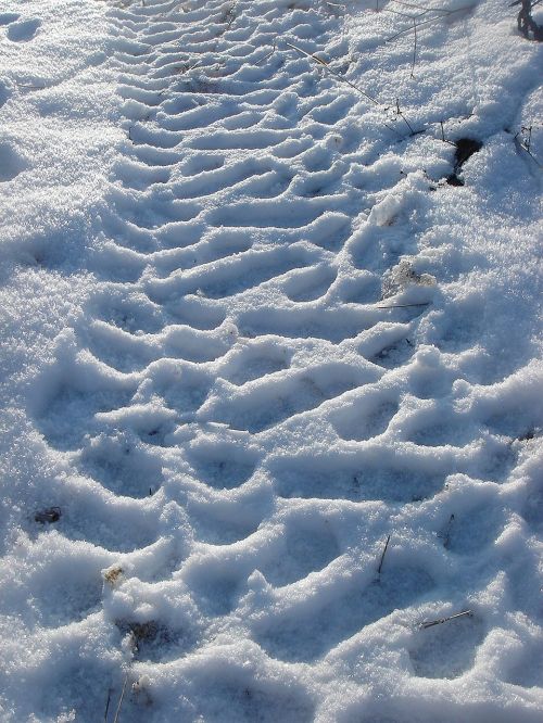 winter snow print