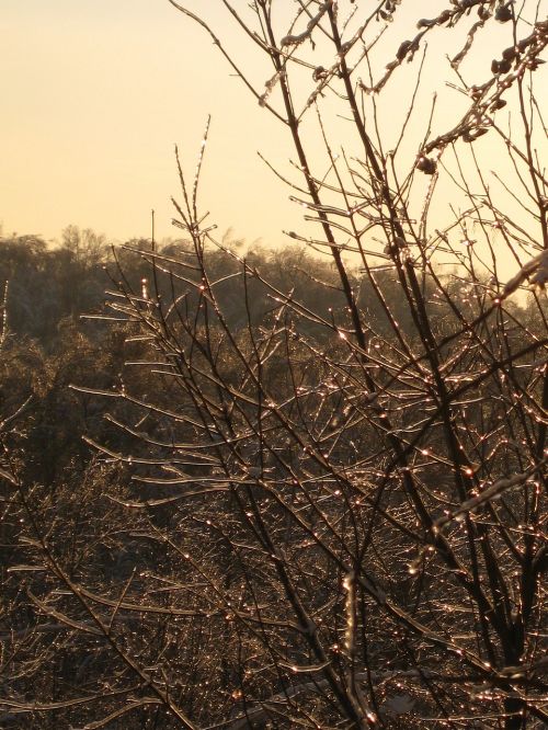 winter spring freezing rain