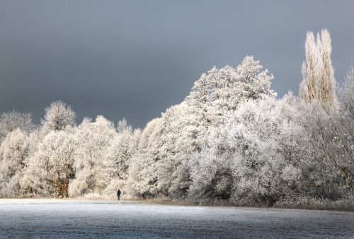 winter hoarfrost wintry