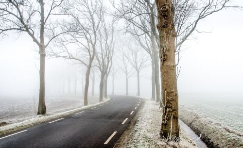 winter road scene