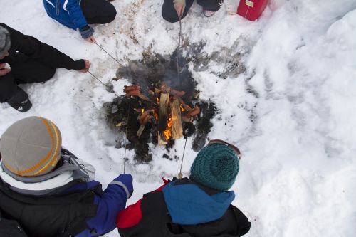 winter fire campfire
