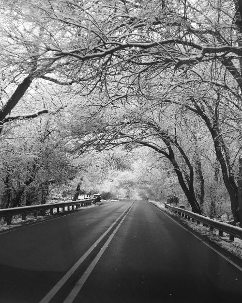 winter road black and white