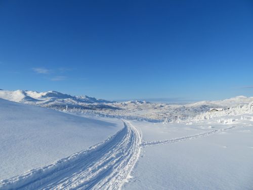 winter the ski trail mountain