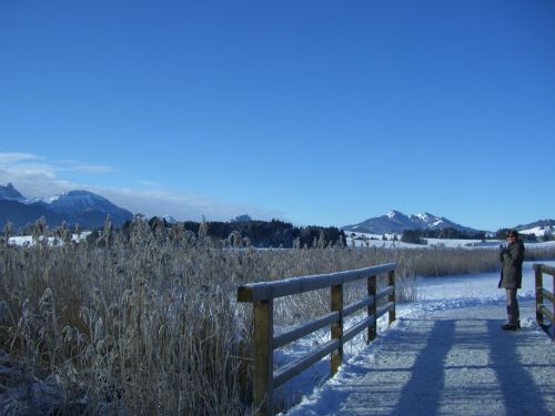 winter alpine panorama lake
