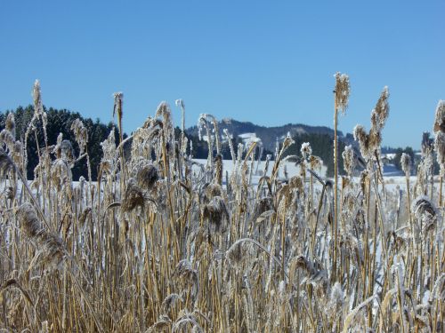 winter alpine panorama lake