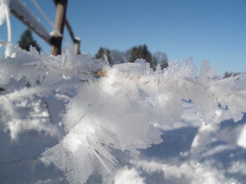 winter children play